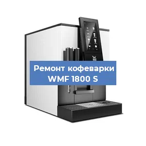Чистка кофемашины WMF 1800 S от кофейных масел в Волгограде